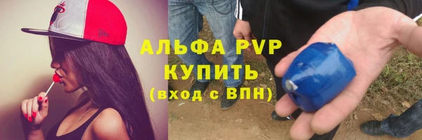 прущие грибы Вязьма