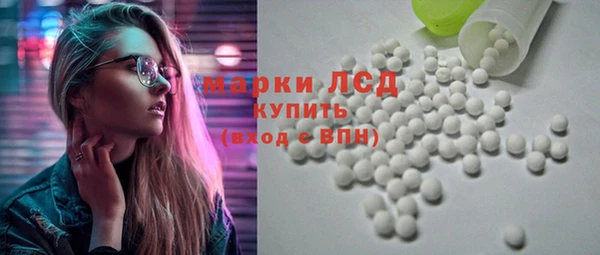прущие грибы Вязьма